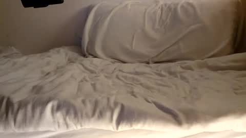 Mr. Big Dick online show from January 17, 11:59 am