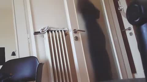 EZCODA online show from January 7, 10:11 am