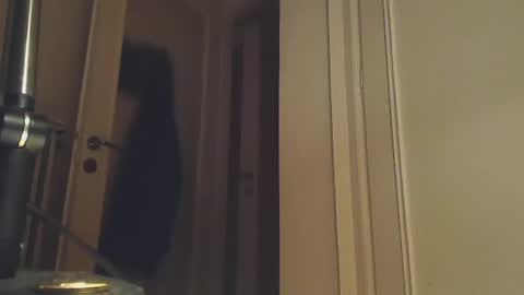 EZCODA online show from January 2, 1:38 am