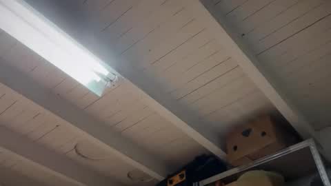 fabius1995 online show from March 22, 7:51 pm