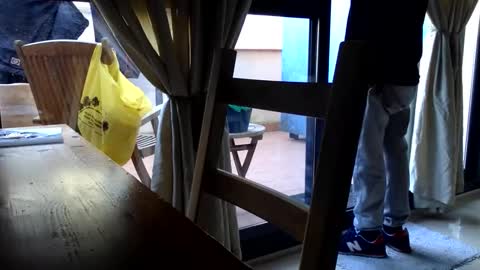 Fabro online show from January 11, 12:11 pm