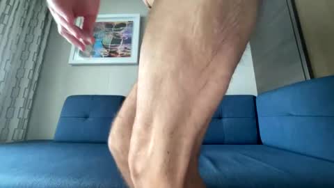 falconcam online show from February 10, 3:24 am