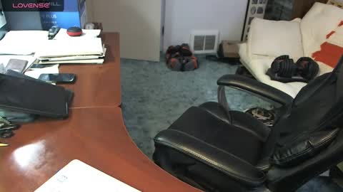 falconcam online show from October 1, 10:30 pm