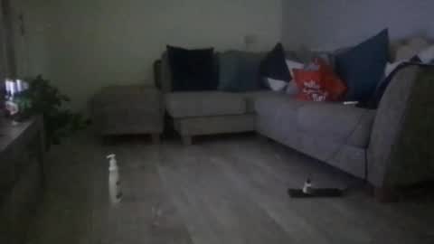 fantasticdeee online show from March 6, 6:30 am