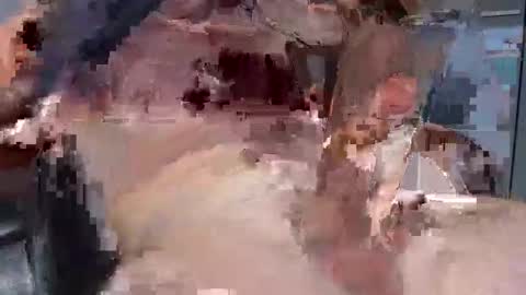 Snapshot of farsunk23 chatting on October 16, 11:21 am farsunk23 online show from October 16, 11:21 am