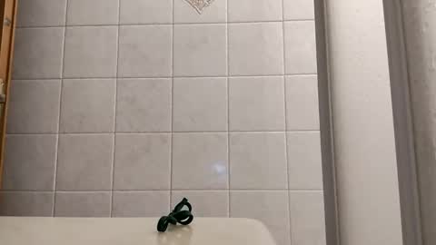 fedecuggi463305 online show from December 14, 3:17 am