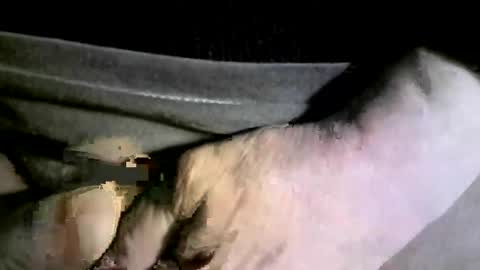 felicaste online show from February 17, 4:20 am