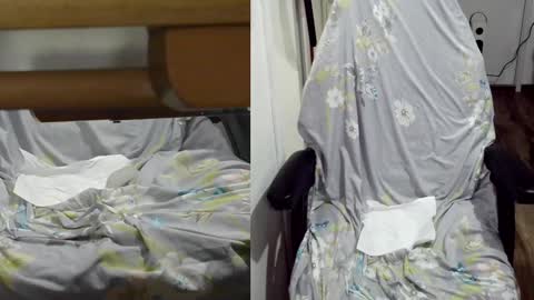 felixlau online show from January 22, 12:06 pm