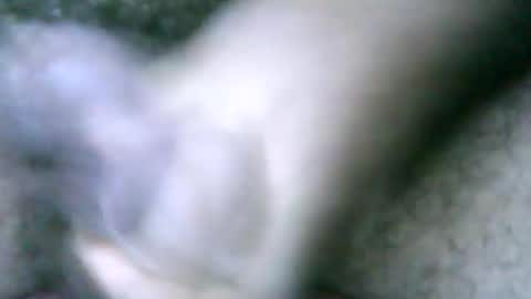 fer_2197 online show from February 18, 2:06 pm