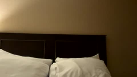 hornyboy96 online show from March 29, 9:38 pm