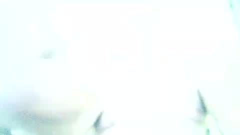 filhober online show from February 5, 2:48 am