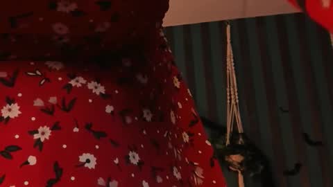 fiora online show from October 19, 12:32 pm