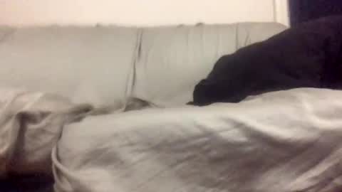 Biglongdong99 online show from April 13, 12:48 am