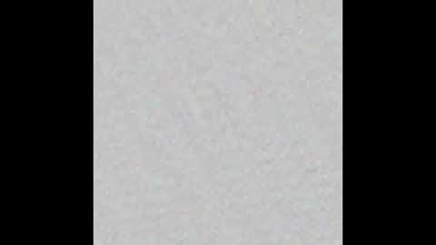 forrestboiii123 online show from November 3, 10:16 am