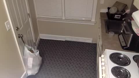 foxdarling96 online show from December 20, 5:36 am