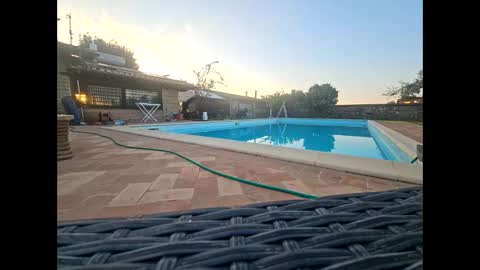 fra  71 online show from April 19, 4:46 am