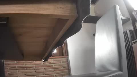 fra  71 online show from April 1, 2:25 pm