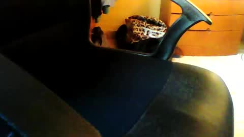 Frangreatcock online show from October 15, 4:52 pm