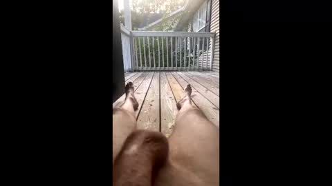 Freedombliss online show from November 19, 9:35 pm