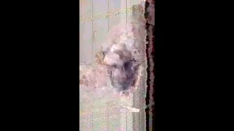 friendshipplus online show from January 16, 4:16 pm