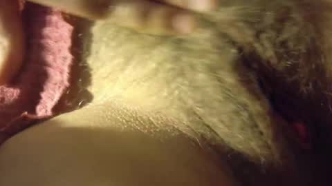 FrumCake online show from March 10, 1:26 pm