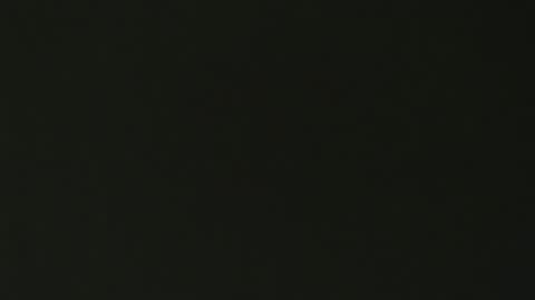 g103031910303 online show from September 29, 4:00 am