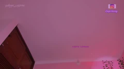 gabyye capprins online show from March 1, 4:50 am