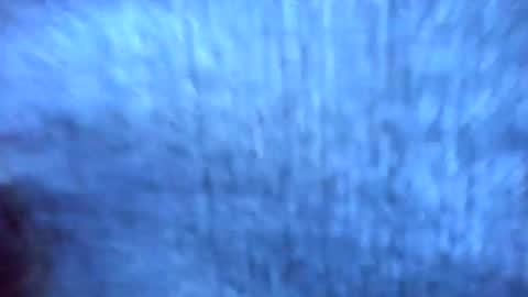 Gellicoe online show from February 22, 3:03 pm