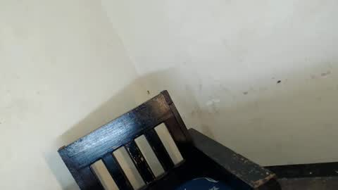 gelo online show from April 4, 4:47 pm