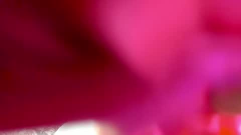 Gissy online show from July 27, 11:51 am