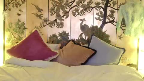 Goddess Sherry online show from November 7, 3:31 am