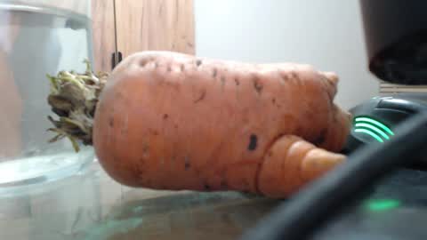 goodgg229975 online show from November 17, 10:34 pm