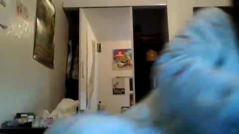 graciegirl995 online show from June 5, 2:00 pm
