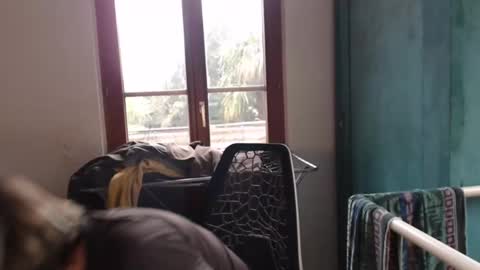 Greenmoon online show from February 25, 1:21 pm