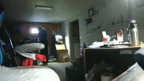 grinningbear online show from October 9, 2:11 pm