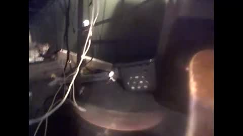 grizzly84 online show from May 17, 2:43 am