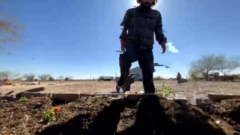 Hornystoner online show from February 9, 8:00 pm