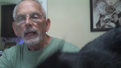 Roy online show from February 9, 3:45 pm