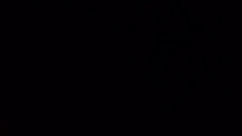 Miss online show from November 9, 1:03 pm