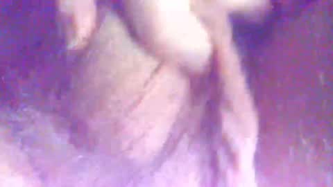 hagridthehorrible online show from December 16, 6:36 pm