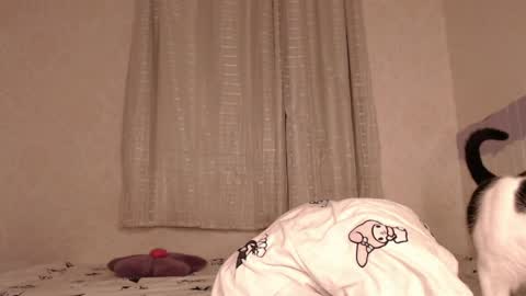 haidyhaven online show from April 8, 3:20 am