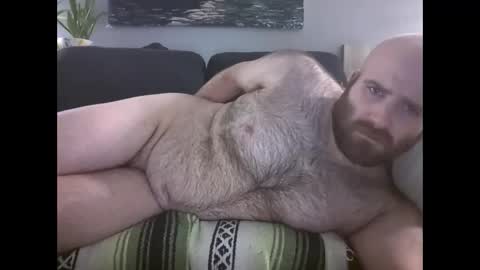 Hairiest Bear online show from March 28, 8:27 am