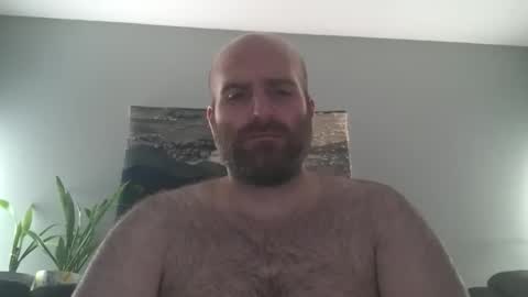 Hairiest Bear online show from March 15, 5:01 am