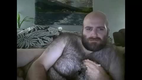 Snapshot of hairiestbear chatting on September 29, 5:39 am Hairiest Bear online show from September 29, 5:39 am