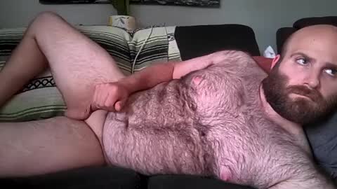 Hairiest Bear online show from June 26, 7:08 pm