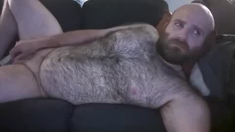 Hairiest Bear online show from July 10, 5:23 am