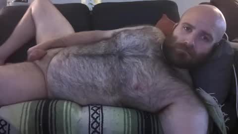 Hairiest Bear online show from July 23, 12:36 pm