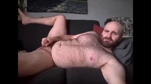 Hairiest Bear online show from March 16, 4:44 pm