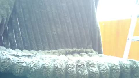 HairyHornyTwinkk online show from October 31, 9:32 am