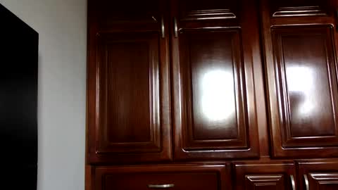 NN420 online show from January 4, 7:44 pm